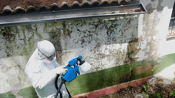 Trusted Commercial Mold Remediation service in Decatur, GA - Cheap Mold Removal